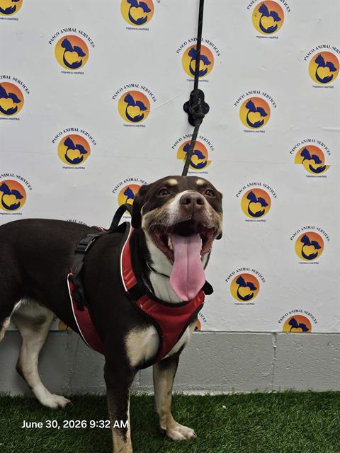 Coco