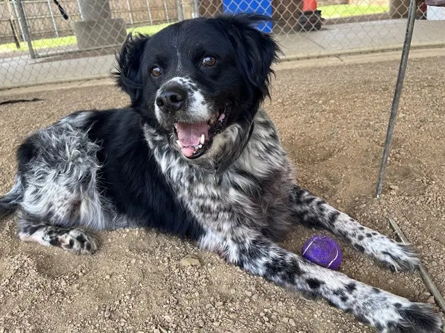 Trevor