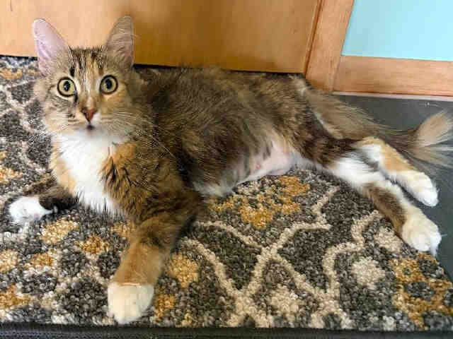 Molly-In Foster