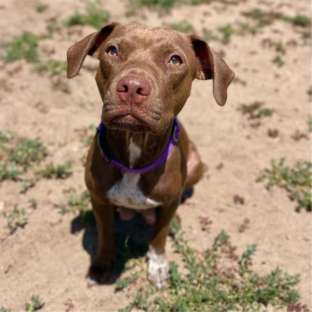 Mimi