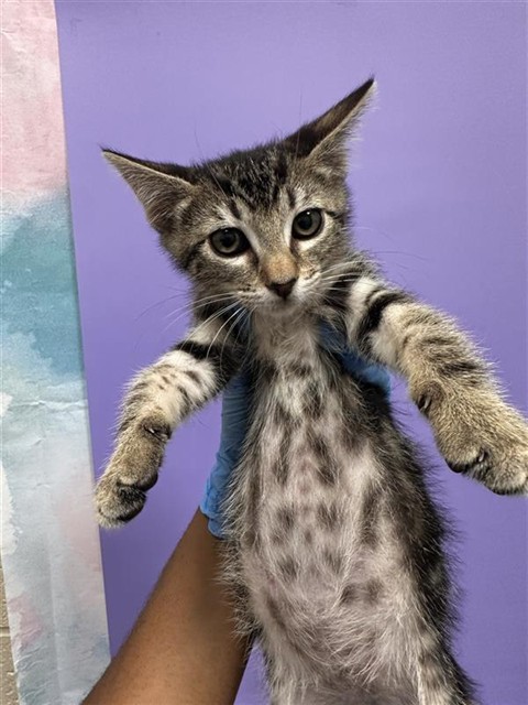 *Coco
