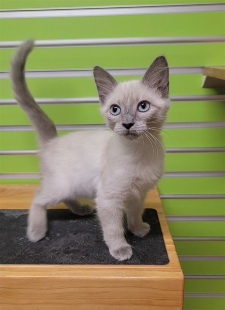 Smoulder