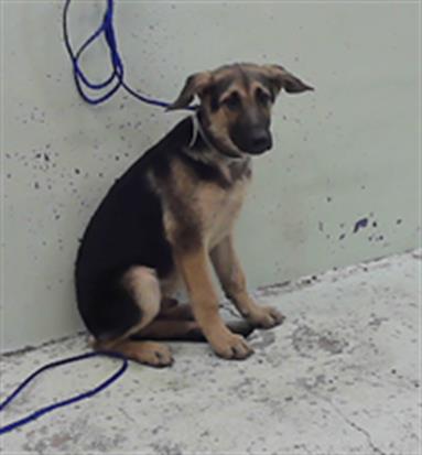 Marlo