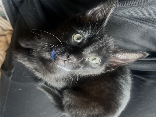 Casper