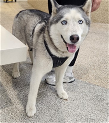 Max