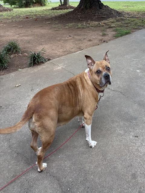 Lulu