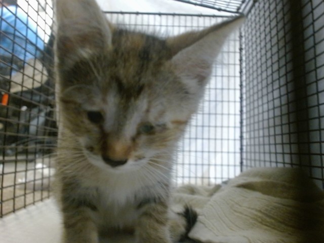 Betty