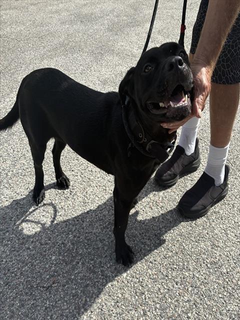 Shelter Staff Named Me *Odessa