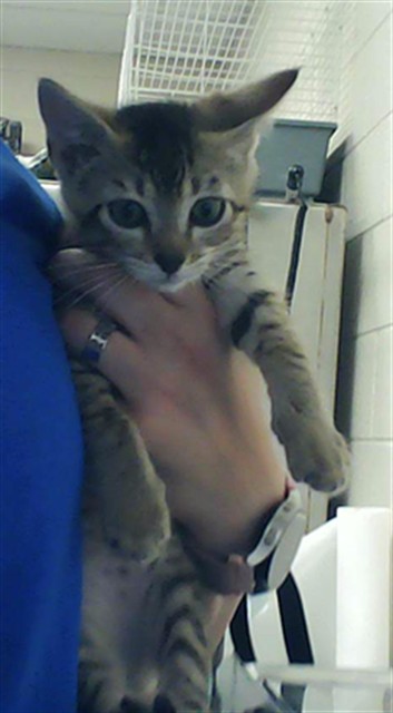 Tucker