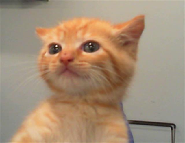 Theodore