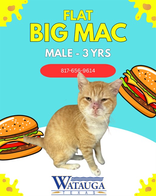 Big Mac