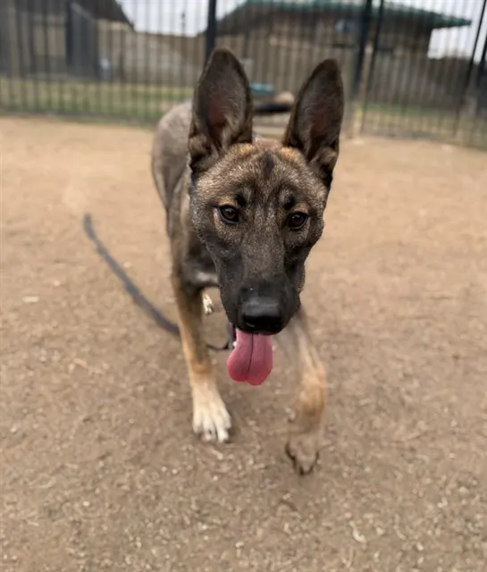 Xena