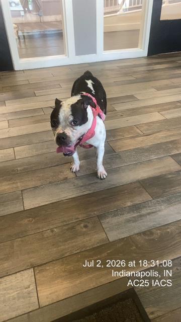Matilda