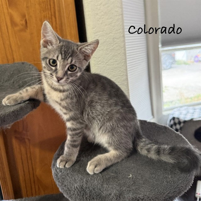 Colorado