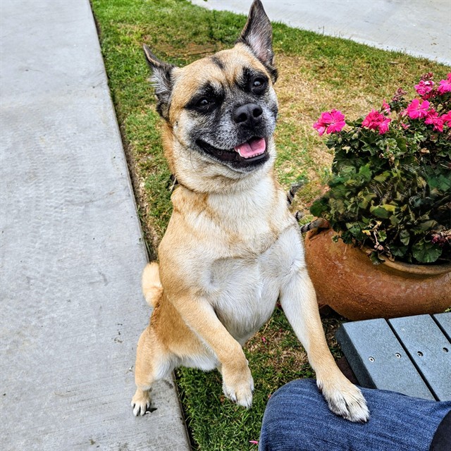 *Max