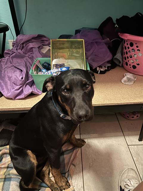 Coco