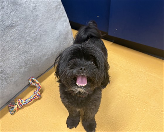 Coco