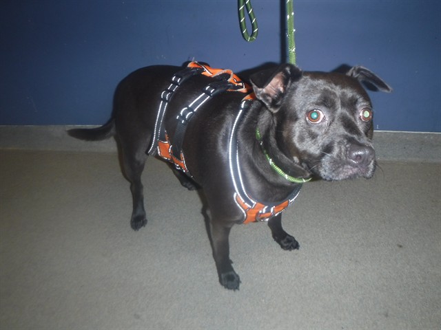 Coco