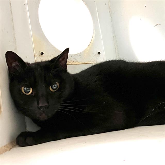 Mimi