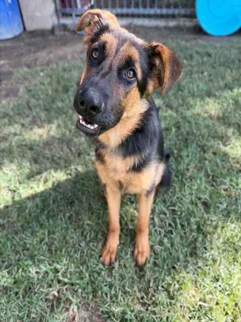Chloe
