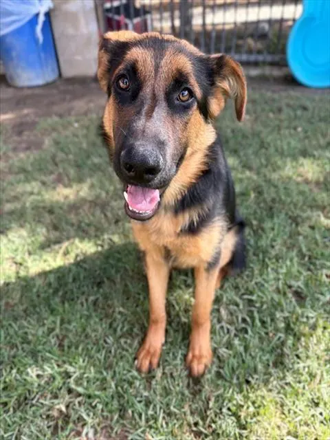 Chloe