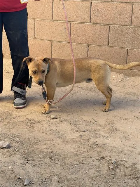 Zeus