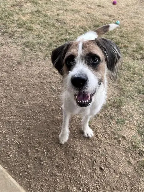 Esther