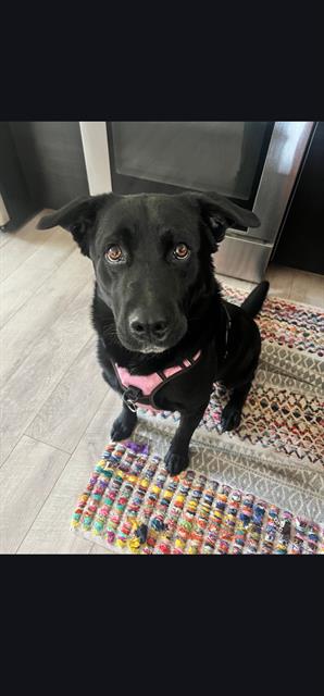 Jax