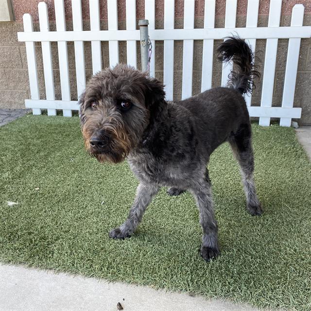 Riley