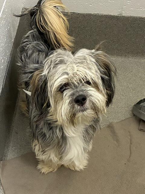 Truffle
