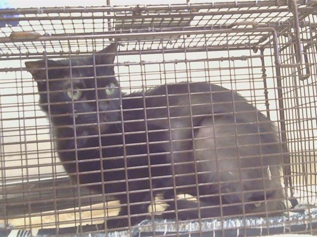 Salem