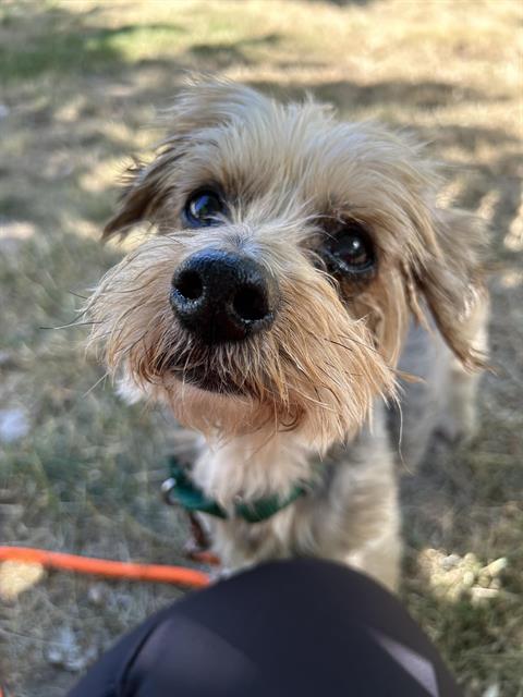 Marley