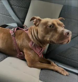 Bella-Marie