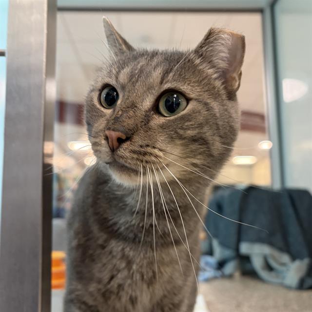 Ben - Fiv+