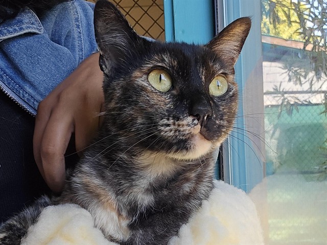 Fiona