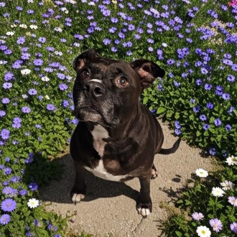 Chloe