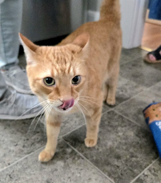 Tigger