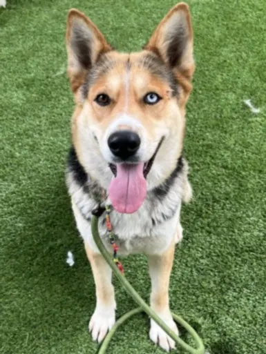Delilah