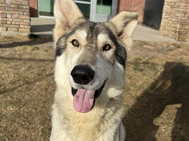 Sirius