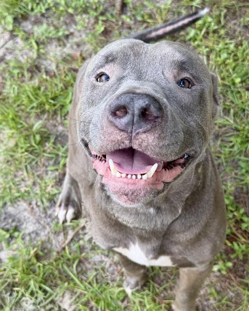 Capone
