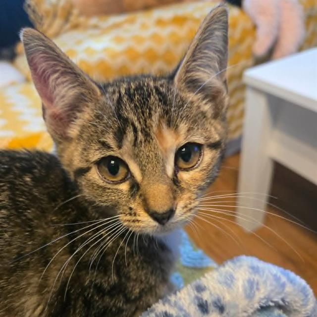 Sabrina