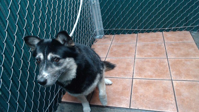 Lucy