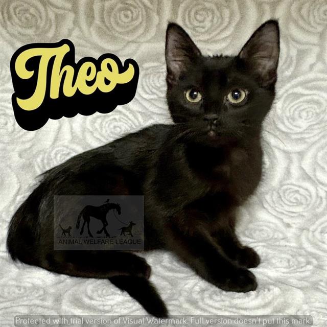 Theo