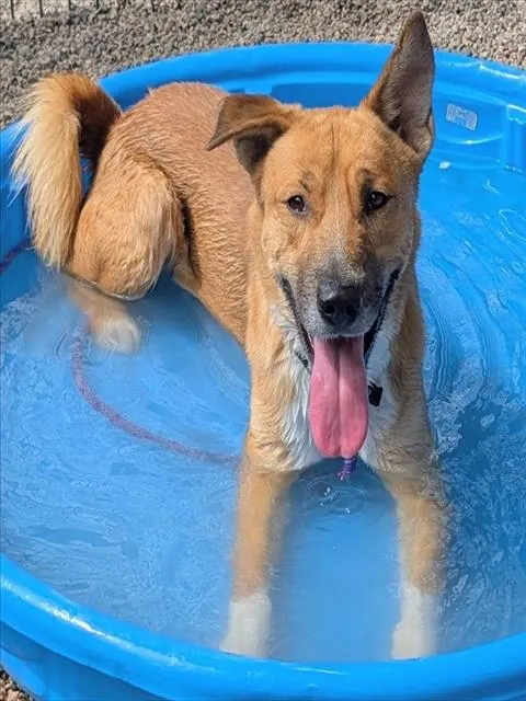 Pablo