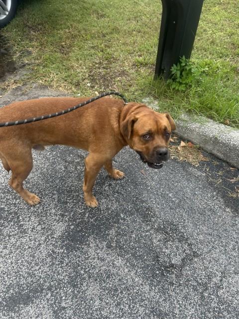 Rusty