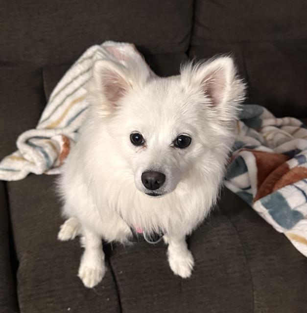 Lumi