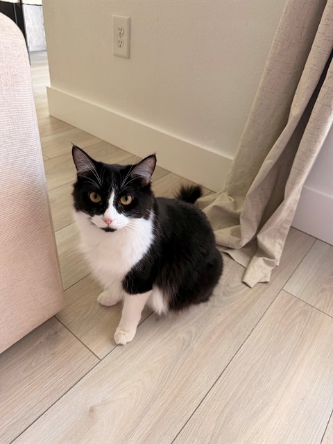 Max