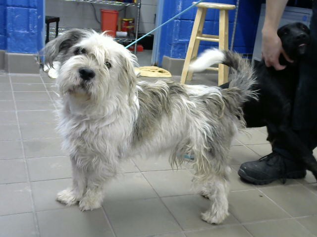 Toto De Benzo