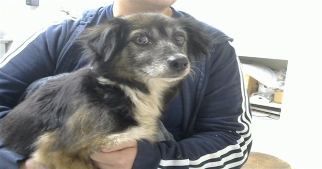 Lola