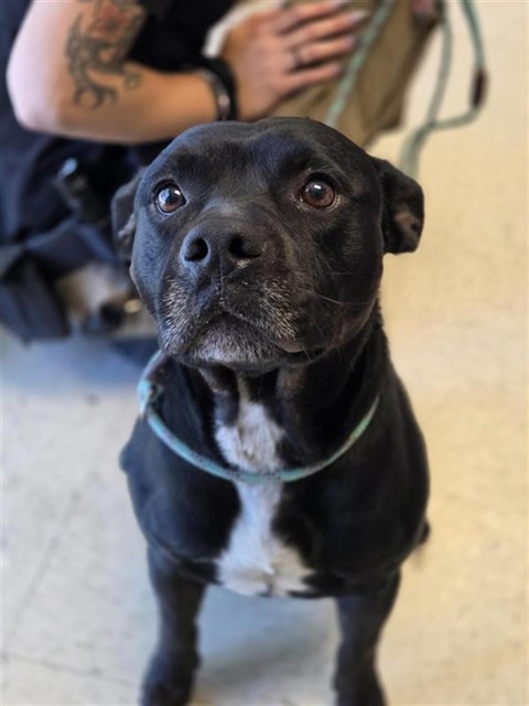 Tux